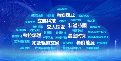 2022成都新经济创投突出贡献奖发布 十大活跃创投机构全年投资近百家企业，引领企业投资管理新生态